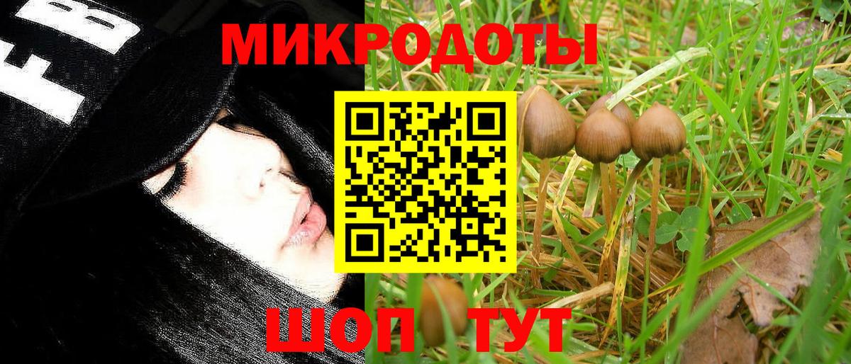 Галлюциногенные грибы ЛСД Владивосток