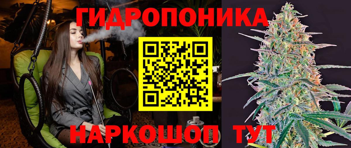 Владивосток  Бошки марихуана сатива  Каннабис OG Kush  Вход с VPN  Шишки марихуана Amnesia  Шишки марихуана марихуана 
